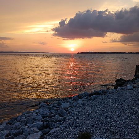 The Gemini-A Dreamy, Waterfront Tiny Cabin Rogersville Екстер'єр фото