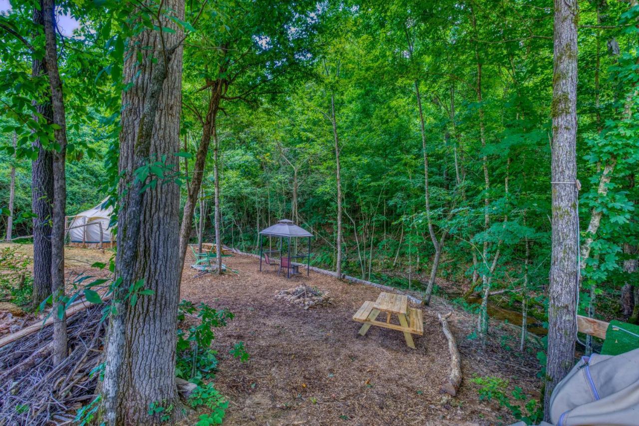 The Gemini-A Dreamy, Waterfront Tiny Cabin Rogersville Екстер'єр фото