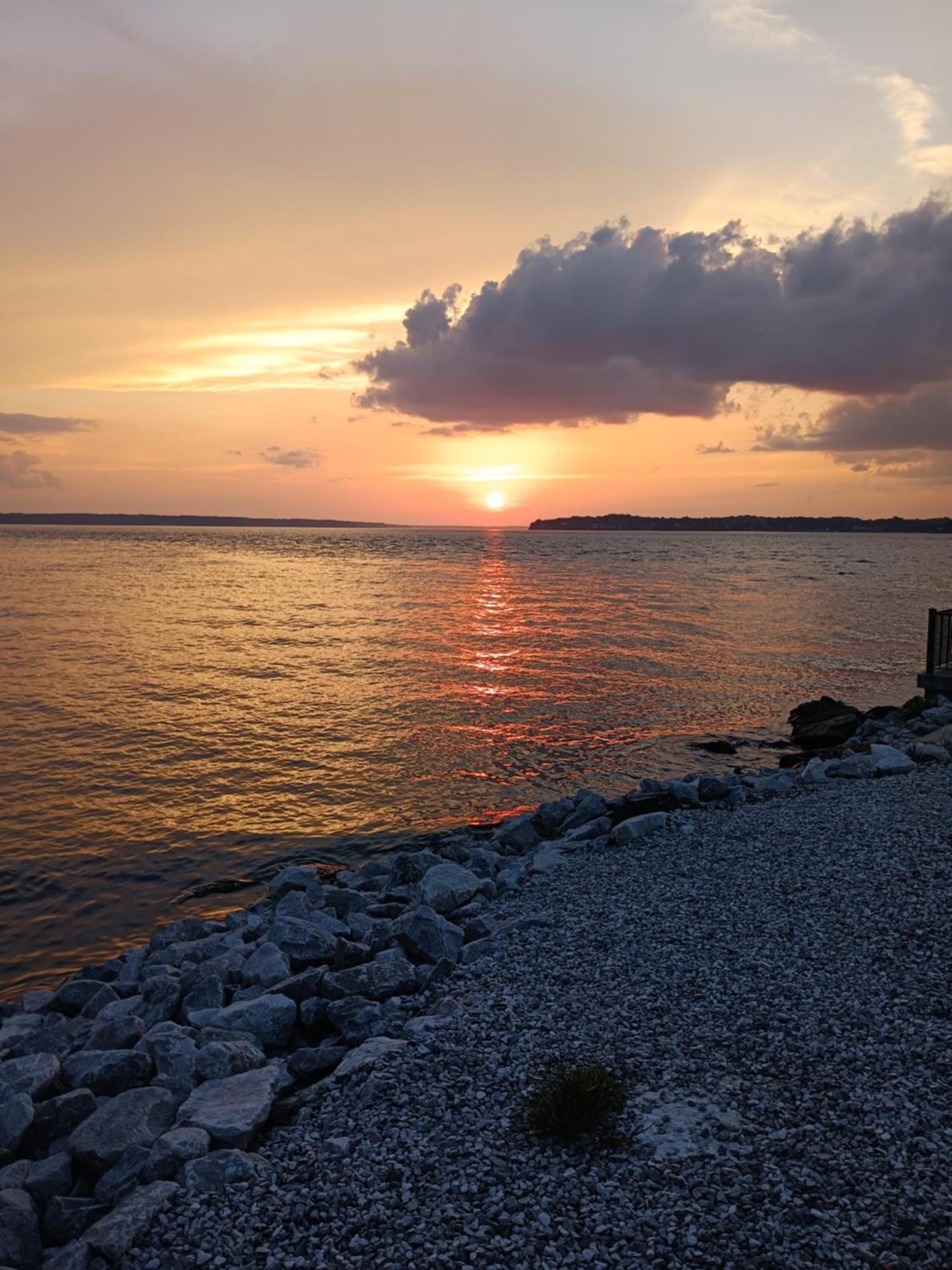 The Gemini-A Dreamy, Waterfront Tiny Cabin Rogersville Екстер'єр фото